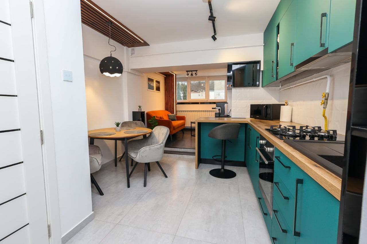 Ioana Residence Bucovina Кымпулунг-Молдовенеск Экстерьер фото